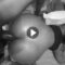 VideoCapture_20250912-124430_Watermarked