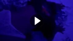 VideoCapture_20251026-122523_Watermarked