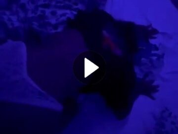 VideoCapture_20251026-122523_Watermarked