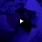 VideoCapture_20251026-122523_Watermarked