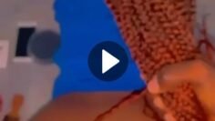 VideoCapture_20260415-094546_Watermarked