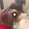VideoCapture_20260809-053329_Watermarked